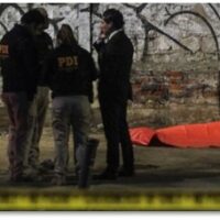 HOMICIDIOS, SECUESTROS Y EXTORSIONES. Lucía Dammert