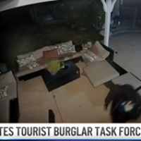 LA FUERZA DE TAREA QUE FORMÓ LA POLICÍA DE LOS ÁNGELES, EE. UU., PARA ENFRENTAR EL “TURISMO DELICTUAL” DESDE CHILE  Ex-Ante