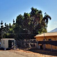 Anuncio sobre Punta Peuco. Carla Fernández Montero.  Abogada, Derecho Penitenciario. La Tercera 04 de junio 2025