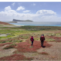 ISLAS FALKLAND Y EL SUEÑO ARGENTINO
