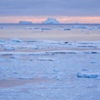 La plastifera antártica, un  nuevo ecosistema único y potencialmente peligroso. Pere Monrás