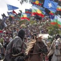 Temocuicui…. No caben Medias Tintas. Cristián Labbé Galilea