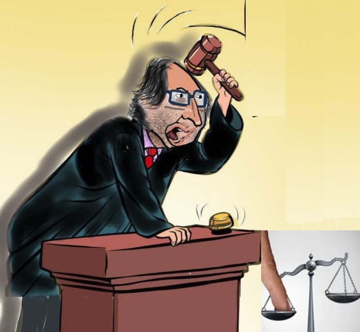 Una cruda y brutal realidad. ONG Cren