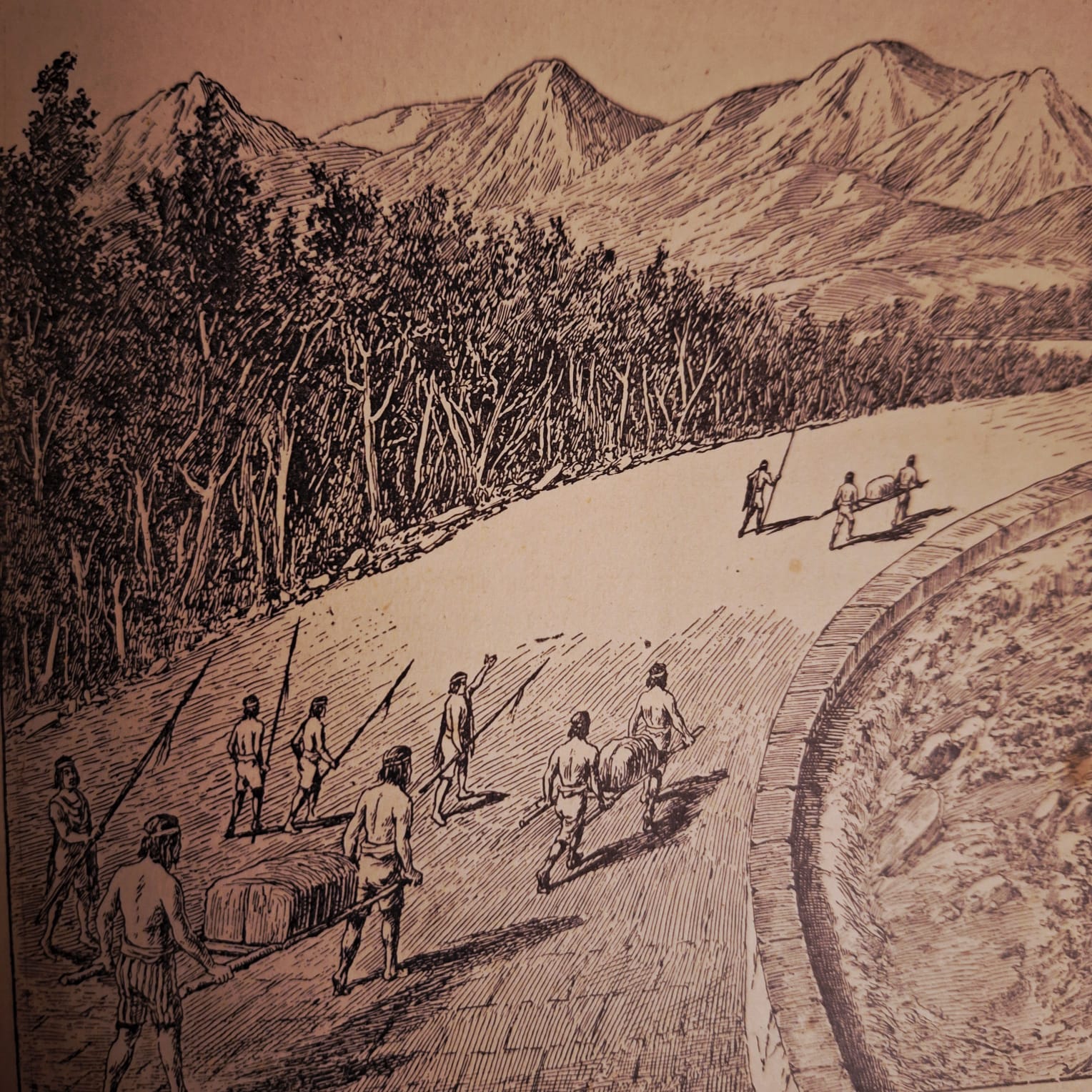 Revisando la historia. Jorge Villarroel Carmona