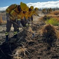 Brigadas de refuerzo de incendios forestales apoyan en la región del Maule. Sitio Web Ejército
