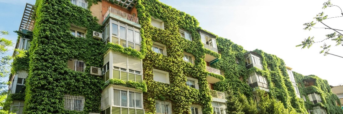 ¿ Y si pagara menos impuestos por instalar un jardín en su edificio? Carmen Esther Falcón-Pérez. The Conversation