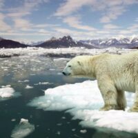 Falsa Alarma. Fernando Claro V., Director ejecutivo Fundación para el Progreso – El Mercurio