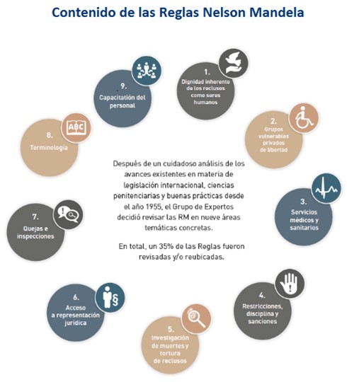 CRITERIOS HUMANITARIOS. Claudia Fuentes Bozzolo, Periodista – El Mercurio